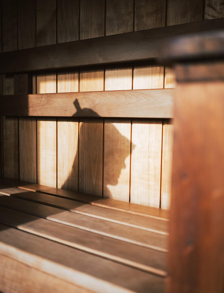 The Secret Sauna - The Hot Bothy + Brimstone - shadow